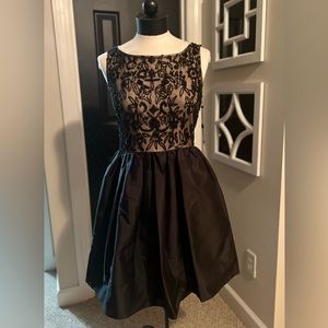 Adrianna Papell Dress | Formal Dress | Taffeta Skirt | Little Black Dress